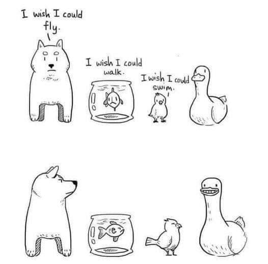 The meme is a simple drawing of various animals, including a dog, cat, bird, and fish. Above the dog, it says "I wish I could fly" and above the cat, it says "I wish I could walk". Below the bird, it says "I wish I could swim" and below the fish, it says "I wish I could..." but the sentence is left blank, implying that the fish can already swim.